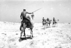 'Camel Force' of FlakReg.33 at El Alamain